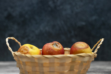 Similar image 20987862