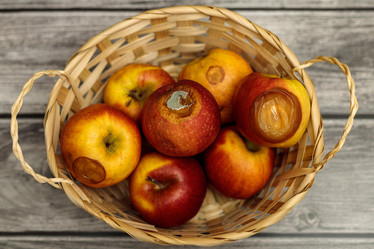 Similar image 20987863