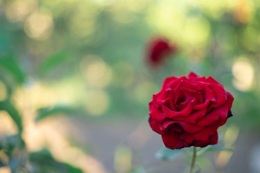 Similar image 20987886