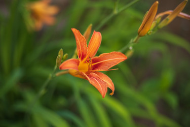 Similar image 20988017