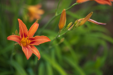 Similar image 20988018