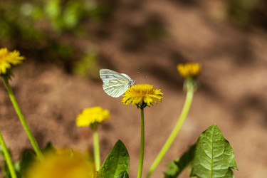 Similar image 20988029