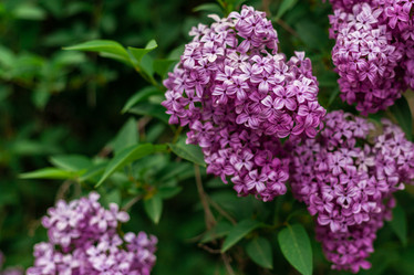 Similar image 20988033