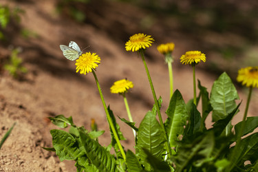 Similar image 20988038