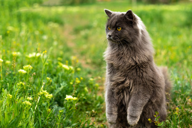 Similar image 20988040