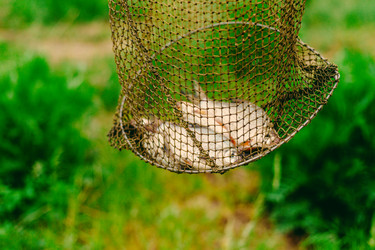 Similar image 20988041