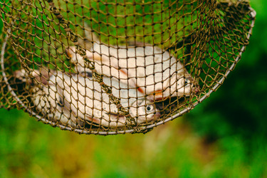 Similar image 20988042