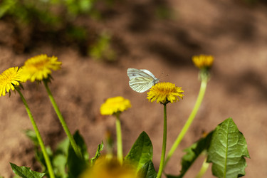 Similar image 20988044