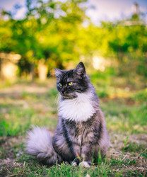 Similar image 20988045