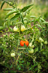 Similar image 20988049