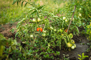 Similar image 20988050