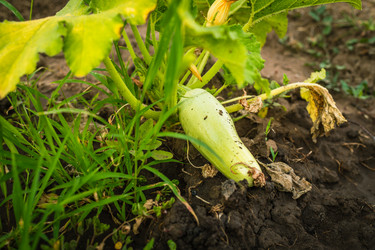 Similar image 20988051