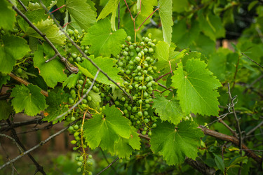 Similar image 20988053