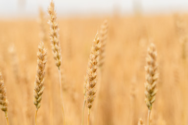 Similar image 20987898