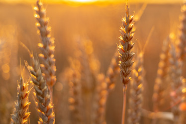 Similar image 20987899