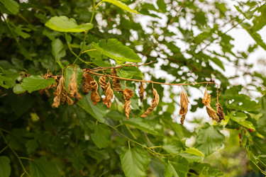 Similar image 20987904