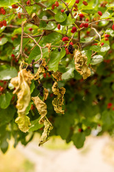 Similar image 20987905