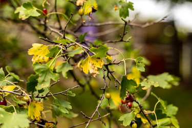 Similar image 20987906