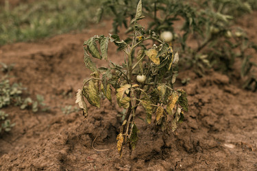 Similar image 20987907