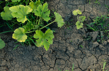 Similar image 20987909