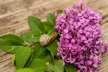 Similar image 20987911