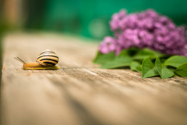 Similar image 20987912