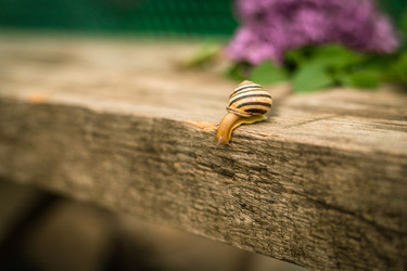 Similar image 20987913