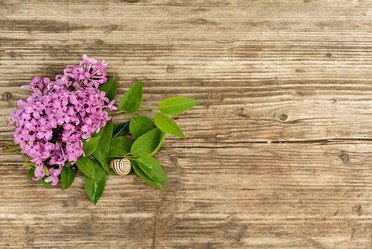 Similar image 20987914