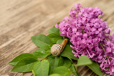 Similar image 20987915