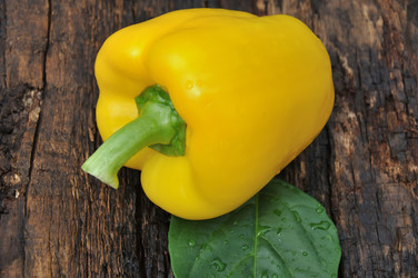 Similar image 20983300