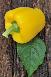 Similar image 20983302