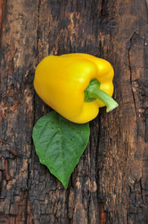 Similar image 20983303