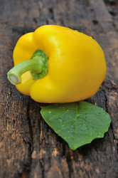 Similar image 20983304