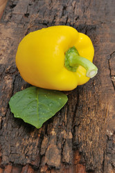 Similar image 20983305