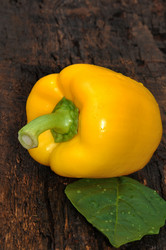 Similar image 20983306