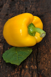 Similar image 20983307