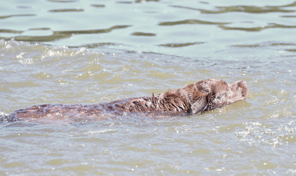 Similar image 20983317