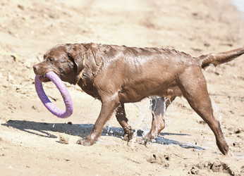 Similar image 20983318