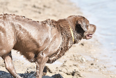 Similar image 20983320