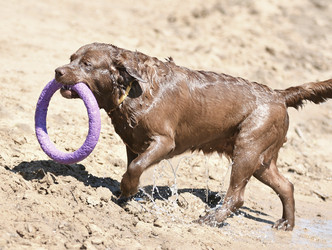 Similar image 20983343