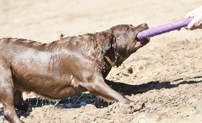 Similar image 20983344