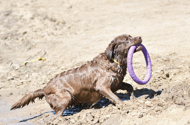 Similar image 20983345