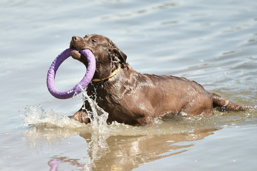 Similar image 20983346