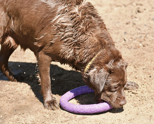 Similar image 20983348