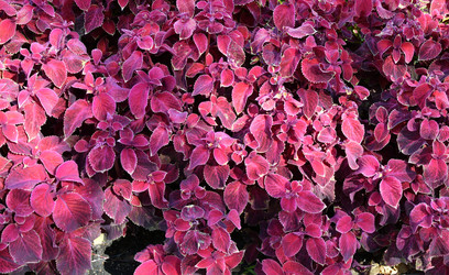 Similar image 20983478