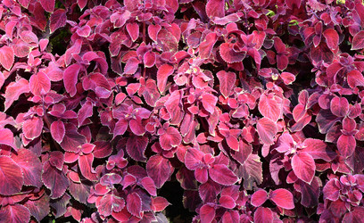 Similar image 20983479