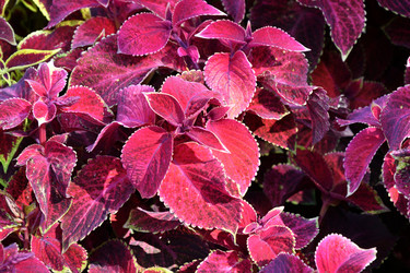 Similar image 20983480