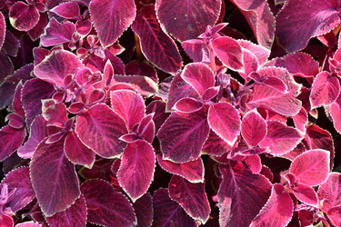 Similar image 20983481