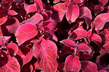 Similar image 20983485