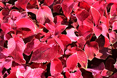 Similar image 20983489